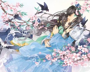 大象传媒在线观看视频